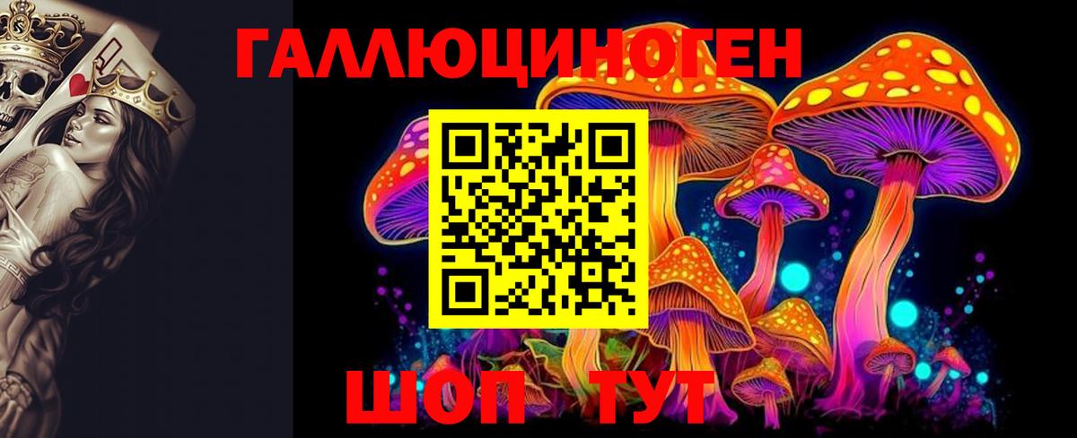 Галлюциногенные грибы Psilocybine cubensis Балашов